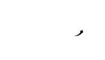 Lazarini Growth